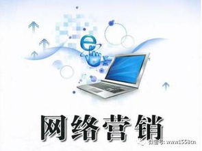 企业如何在网络营销推广中抢占先机 北京网络营销公司实战指南
